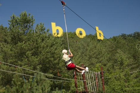bob012.jpg
