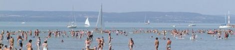 fejec_balaton_n.jpg